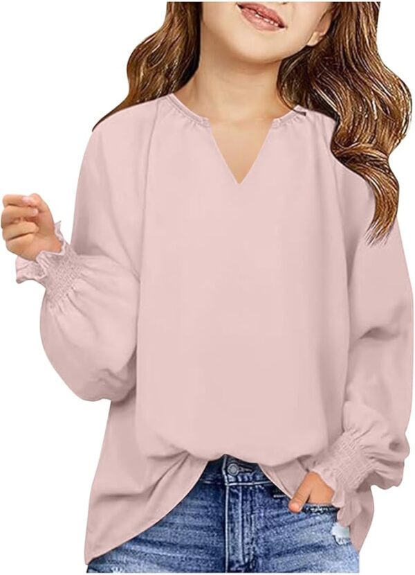 Long Sleeve V Neck Dressy
